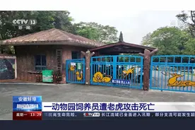 安徽蚌埠一动物园饲养员遭老虎攻击死亡视频封面