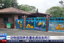 安徽蚌埠一动物园饲养员遭老虎攻击死亡视频封面