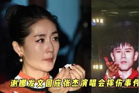 谢娜回应张杰摔伤事件，称其忍痛完成演唱会，还担心俩女儿被吓到视频封面