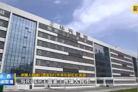 陕西金融系统精准对接企业需求更加主动融入和服务构建新发展格局视频封面