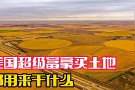 比尔盖茨疯狂购买土地，投资的背后有什么原因呢？视频封面