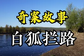 奇案故事之白狐拦路视频封面