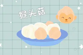 八大山珍之一的猴头菇长什么样视频封面