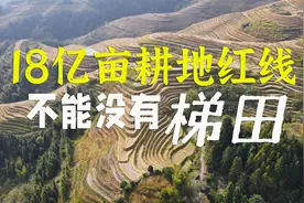 5亿亩梯田对中国人有多重要？视频封面