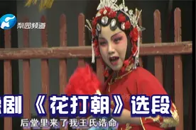 豫剧 | 王甜甜小朋友唱的《花打朝》可真好听！！！视频封面