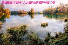 精挑细选20首DSD六大发烧女声靓声车载CD碟视频封面
