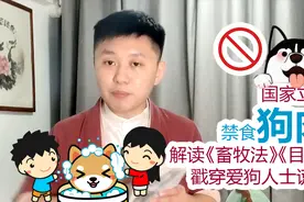 国家立法禁食狗肉？解读《畜牧法》《目录》 戳穿爱狗人士的谎言视频封面