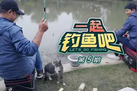 老曹和钓友挑战钓鲫鱼任务，却被一只小猫增加了难度！视频封面