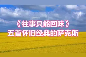 五首萨克斯《往事只能回味》经典怀旧纯音乐，唯美的旋律。视频封面