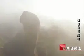 说法：26枚钉子打入三清山巨蟒峰，3人被判罚，赔偿600万还得服刑视频封面