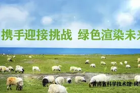 我馆在首届全国各省市区社科普及基地讲解员大赛中喜获佳绩视频封面