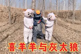 喜羊羊与灰太狼，喜羊羊生病了被灰太狼抓到了视频封面
