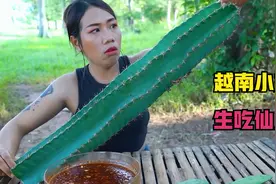 你生吃过仙人掌吗？越南小姐姐大型吃仙人掌现场，看起来是真香啊视频封面