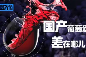 潜入：澳大利亚出局！国产葡萄酒的春天还有多久？视频封面