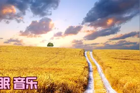 谁知盘中餐，粒粒皆辛苦。——唐·李绅《悯农》视频封面