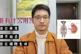 肾脏有哪些功能？这三个主要功能有必要了解一下视频封面
