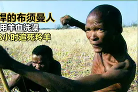 真生猛，非洲土著布须曼人，和羚羊比拼耐力，羚羊被活活追死视频封面