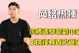 盘点刷屏网络的爆笑梗，王境泽真香火遍全网，沈腾造孽啊成为经典视频封面