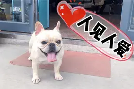 两只狗狗出门玩耍，待遇差别这么大，憨狗：不公平！「激萌奖金」视频封面