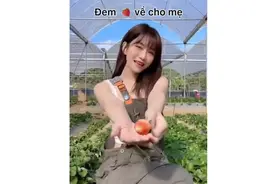 甜美小姐姐性格温和视频封面