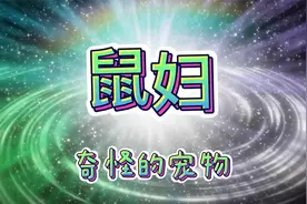 奇怪的知识：居然有人拿潮虫子当宠物养？视频封面