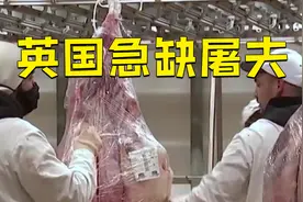 因为缺屠夫，英国把猪牛出口到欧盟屠宰后再进口猪牛肉视频封面