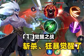 王者全召唤师技能觉醒，无限使用斩杀，全图释放干扰！视频封面