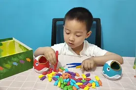 当当和妈妈剪刀石头布给小鸟喂虫子！视频封面