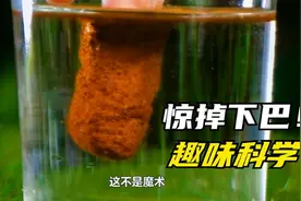制作夜晚会发光的花，模拟海底火山爆发，带你解锁更多趣味实验！视频封面