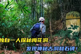 独自一人进入四川河谷，探秘梅花洞，密林中竟发现神秘石碑和古洞视频封面