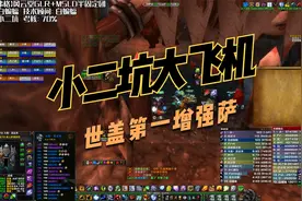TBC-格鲁尔世盖第一增强萨，认认真真打一次DPS视频封面