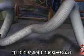 第15集 白蛇现形吓死许仙，为救人白素贞昆仑山盗灵芝仙草视频封面