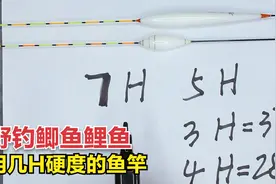 野钓用几H硬度的鱼竿？老钓友谈钓鱼选竿经验，让新人少走弯路视频封面