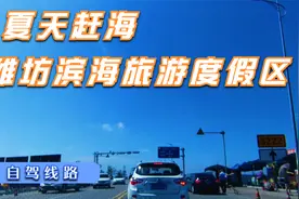 自驾潍坊滨海度假区，这里是免费赶海的地方视频封面