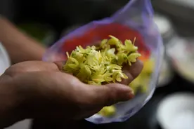 大山村民用400多元一克的“仙草”花做美食，网友：这太奢侈了视频封面
