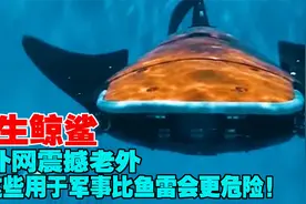 仿生鲸鲨，在外网震撼老外，说这些用于军事比鱼雷会更危险！视频封面