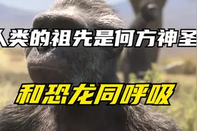 人类的祖先是何方神圣？竟与恐龙生活在同一时期，在夹缝中求生存视频封面