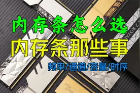 【硬件科普】一条视频了解内存条，如何挑选内存条，内存条详解视频封面