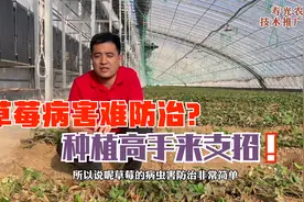 高手支招！记住这个万能配方，草莓病害统统铲除视频封面