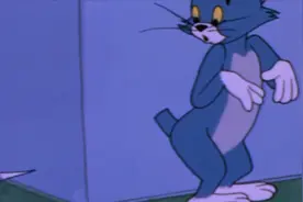 猫和老鼠：尾巴真的夹断了，精神攻击可还行，汤姆快崩溃了吧视频封面