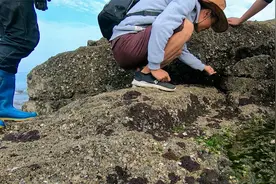 小囿用破伤风之剑找货，传授赶海技巧给一群游客，大家玩得挺开心视频封面