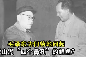 毛泽东为何特地问起微山湖“四个鼻孔”的鲤鱼？视频封面