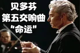【贝多芬】c小调第五交响曲“命运”卡拉扬指挥柏林爱乐乐团 DG版视频封面