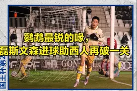 【听雨轩瑞恩】鹦鹉最锐的喙，武磊斯文森进球助西人再破一关视频封面