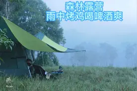 森林露营，雨中烤鸡，大口吃肉大口喝酒，美视频封面