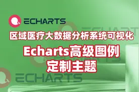 区域医疗大数据分析系统视频教程，Echarts高级图例之定制主题视频封面
