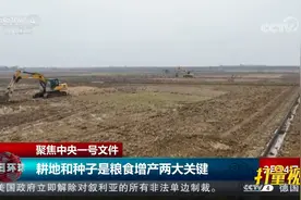 聚焦中央一号文件！耕地和种子是粮食增产的两大关键|今日环球视频封面