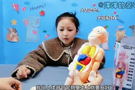 快来和洋洋一起认识人体器官模型吧！视频封面