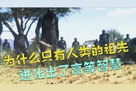 为什么只有人类的祖先进化出了高等智慧？是偶然还是必然？视频封面