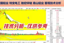 中国铝业 特变电工 驰宏锌锗 南山铝业 客观技术分析视频封面